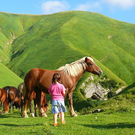 Agroturismo Mari Cruz Villanueva de Arce Zewnętrze zdjęcie