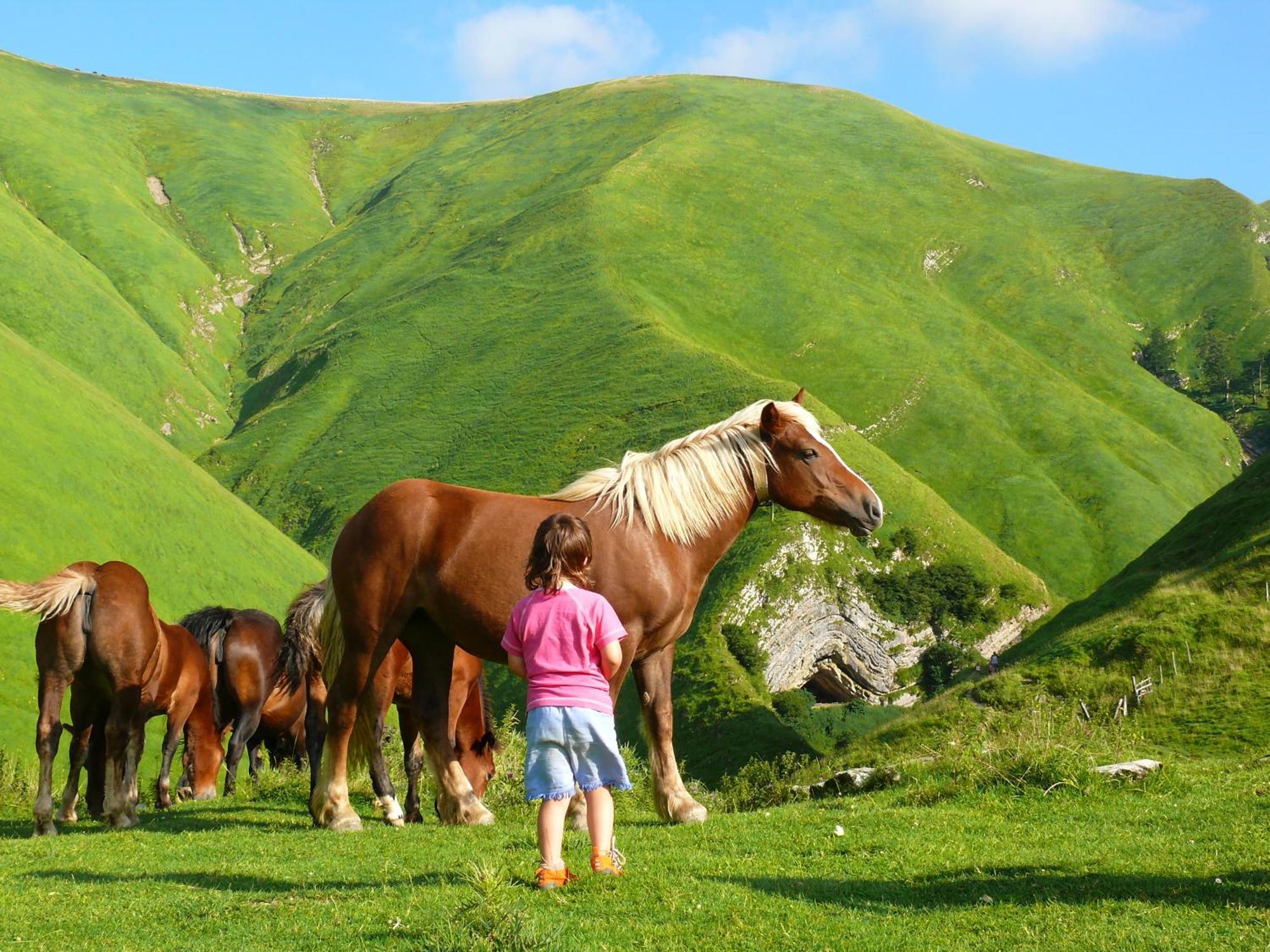 Agroturismo Mari Cruz Villanueva de Arce Zewnętrze zdjęcie