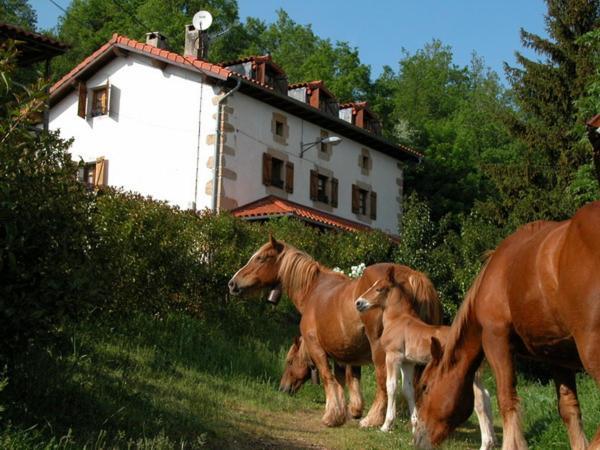 Agroturismo Mari Cruz Villanueva de Arce Zewnętrze zdjęcie