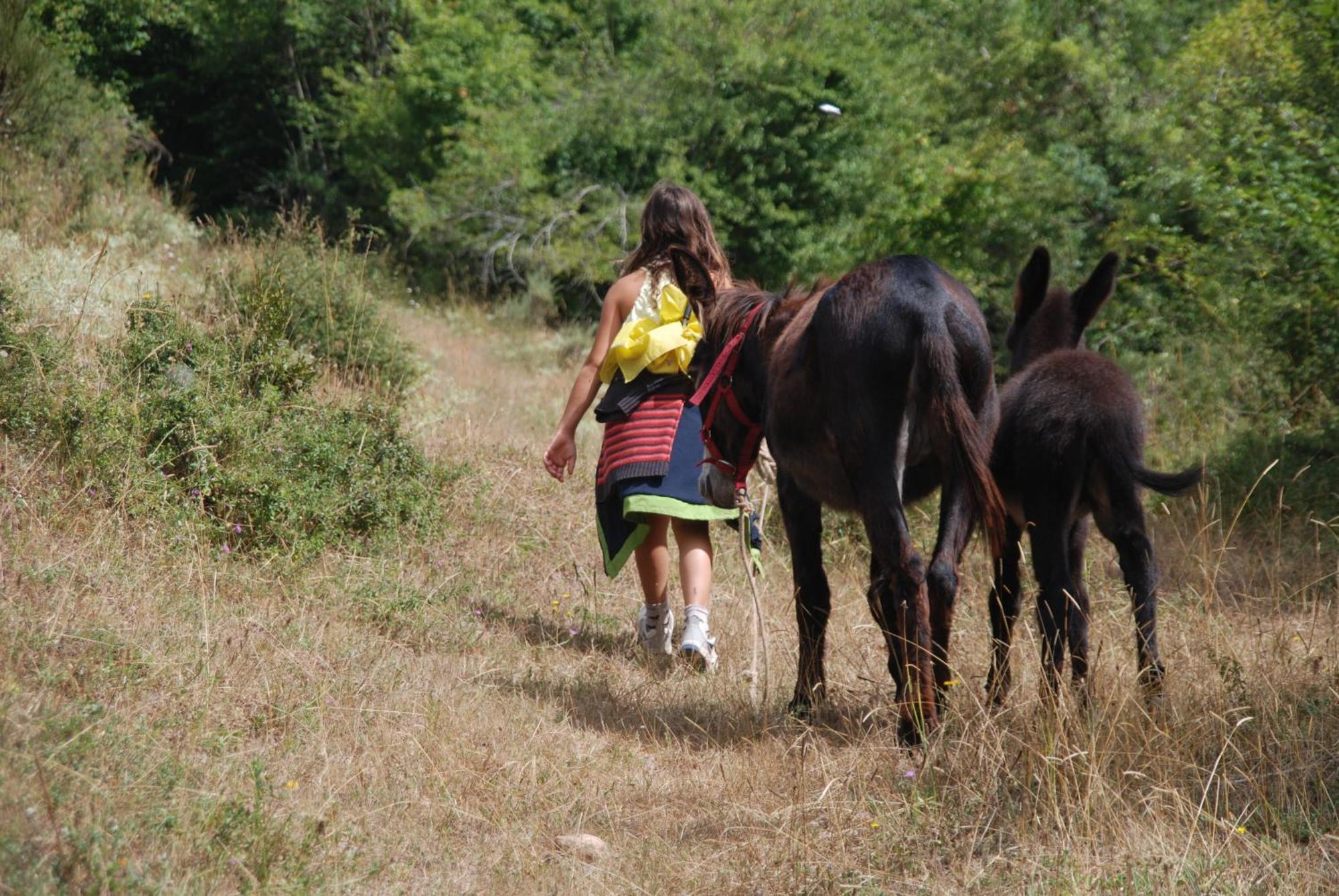 Agroturismo Mari Cruz Villanueva de Arce Zewnętrze zdjęcie