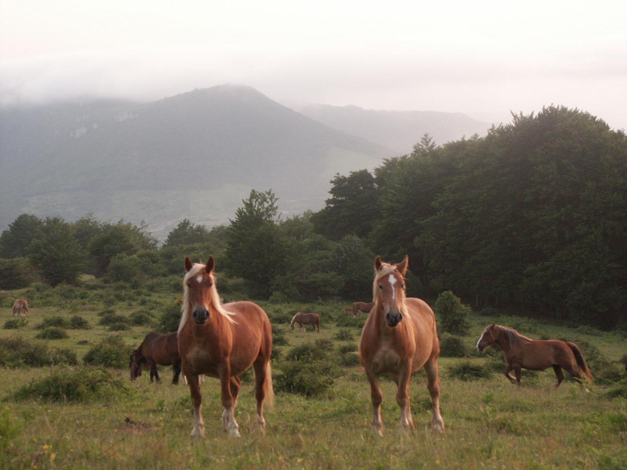 Agroturismo Mari Cruz Villanueva de Arce Zewnętrze zdjęcie