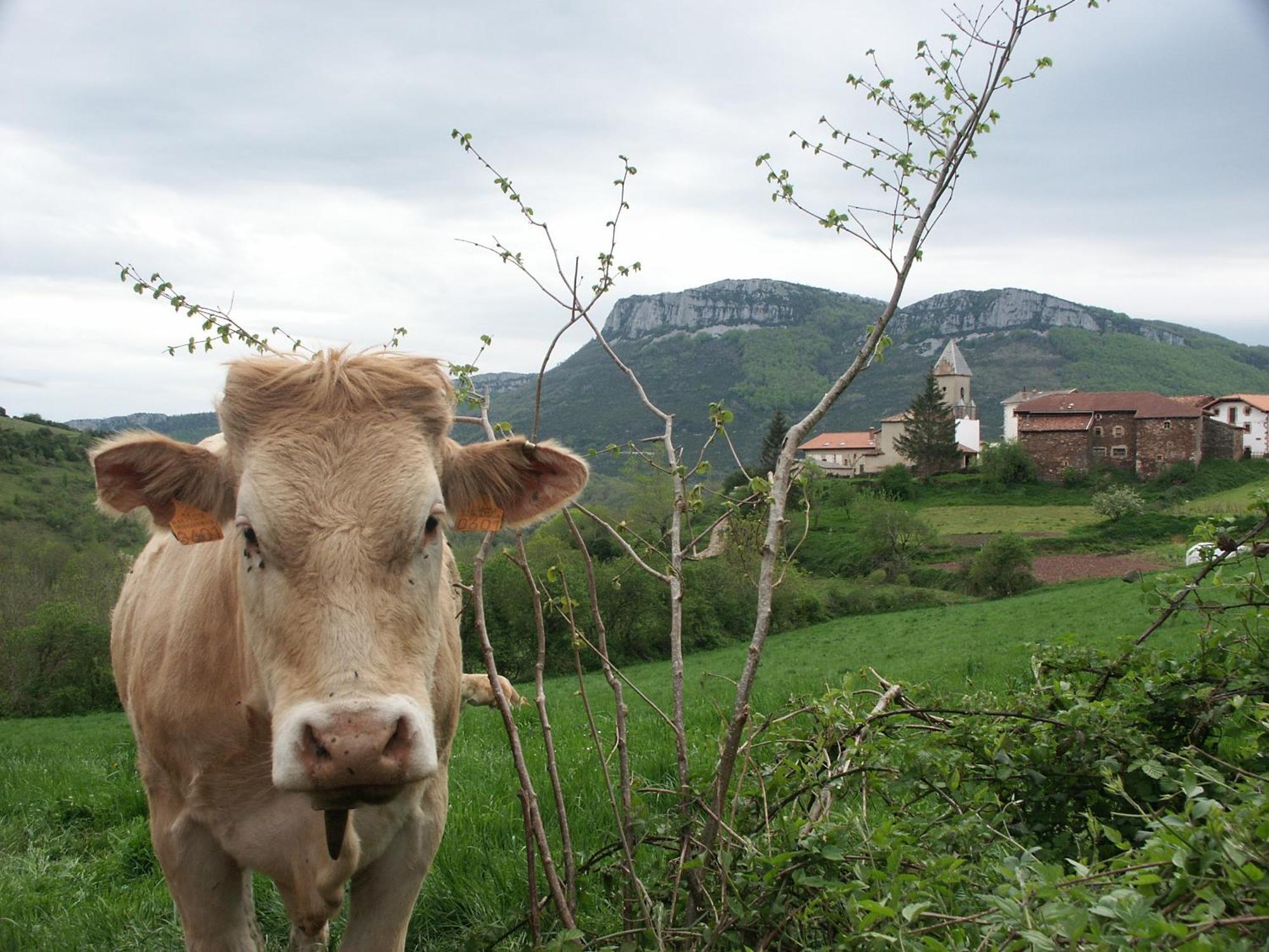 Agroturismo Mari Cruz Villanueva de Arce Zewnętrze zdjęcie